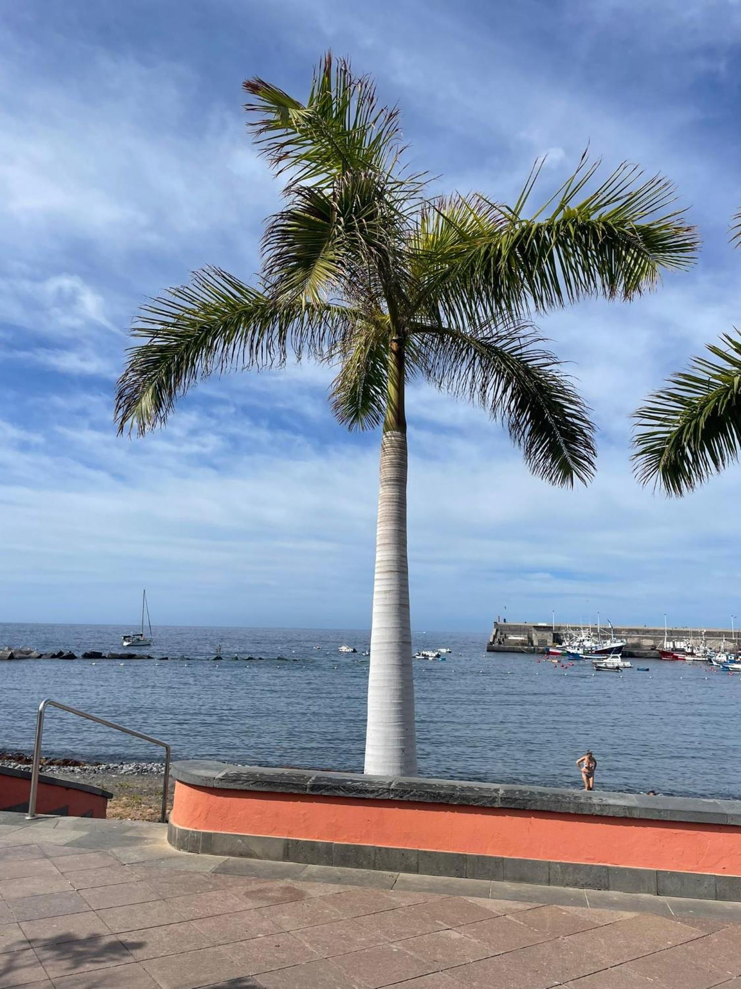 Seaside Paradise - 2 Bedroom Apartment With Ocean Views & Air Conditioning In Playa San Juan Exterior photo